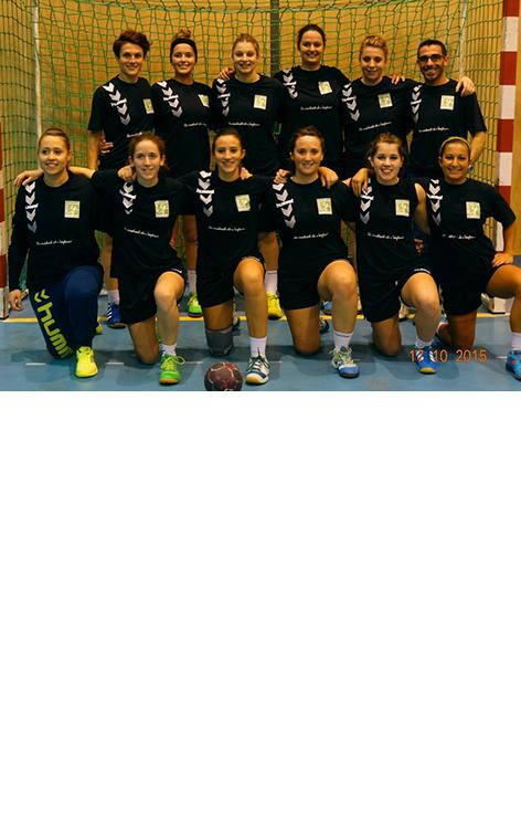 SICSBT Handball