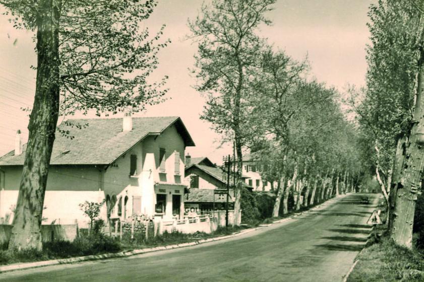 La pharmacie dans les années 1950, Ville de Tarnos