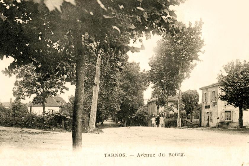 La RD810 direction Ondres - Bordeaux au début du XXème siècle, Ville de Tarnos